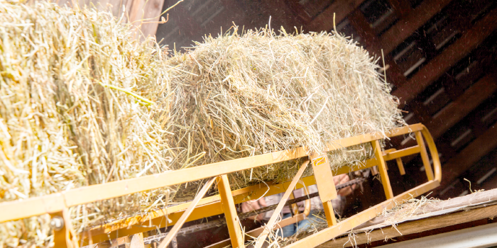 transportador de heno.png