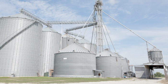 transportador de granos.png